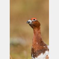 2203 x 3305_Px _RM_160611_MG_4020.jpg