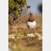 3496 x 5243_Px _RM_160611_MG_3958.jpg