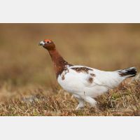 4643 x 3095_Px _RM_160611_MG_4119.jpg