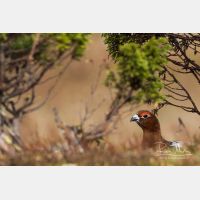 4709 x 3140_Px _RM_160611_MG_3993.jpg