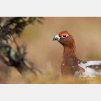 4811 x 3207_Px _RM_160611_MG_4058.jpg