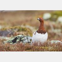 5135 x 3424_Px _RM_160611_MG_3883.jpg