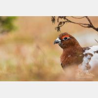 5224 x 3483_Px _RM_160611_MG_4075.jpg