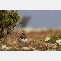 5289 x 3526_Px _RM_160611_MG_3934.jpg