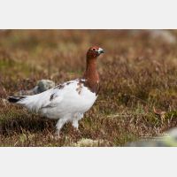 5308 x 3538_Px _RM_160611_MG_3814.jpg