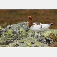 5358 x 3572_Px _RM_160611_MG_4162.jpg