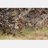 5472 x 3648_Px _RM_160611_MG_3623.jpg