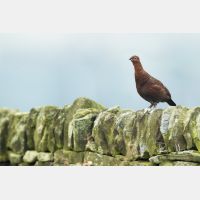 10851 x 7234_Px _RM_160927_MG_9892-Pano.jpg