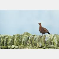 12879 x 8606_Px _RM_160927_MG_9871-Pano_b.jpg