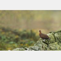 14916 x 9944_Px _RM_160927_MG_9917_Pan.jpg