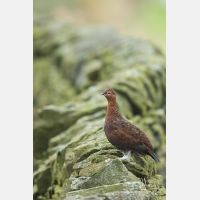 3648 x 5472_Px _RM_160927_MG_9971.jpg