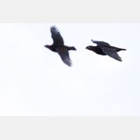 4455 x 2970_Px _RM_141215_MG_2603-Bearbeitet.jpg