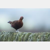 4756 x 3171_Px _RM_160927_MG_9429.jpg