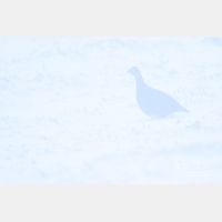 4858 x 3239_Px _RM_141208_MG_1227.jpg