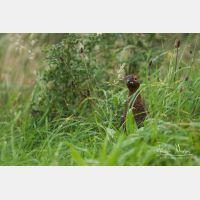 5157 x 3438_Px _RM_160927_MG_9804.jpg