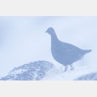 5199 x 3466_Px _RM_141208_MG_1256.jpg