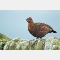 5327 x 3551_Px _RM_160927_MG_9867.jpg