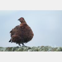 5472 x 3648_Px _RM_160927_MG_9472.jpg