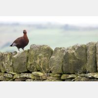 5472 x 3648_Px _RM_160927_MG_9621.jpg