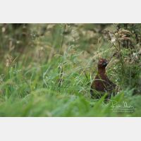 5472 x 3648_Px _RM_160927_MG_9800.jpg