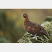 5472 x 3648_Px _RM_160927_MG_9910.jpg