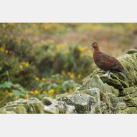 5472 x 3648_Px _RM_160927_MG_9954.jpg