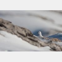 2845 x 1897_Px _RM_101231_MG_5455.jpg