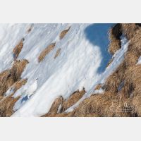 3330 x 2220_Px _RM_110212_MG_9831-2.jpg