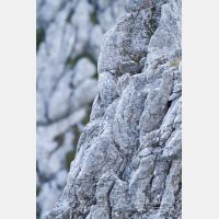 3456 x 5184_Px _RM_130812_MG_0999.jpg