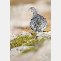 3648 x 5472_Px _RM_160919_MG_8527.jpg