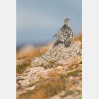 3648 x 5472_Px _RM_160919_MG_8551.jpg