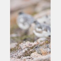 3648 x 5472_Px _RM_160919_MG_8692.jpg