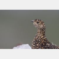 3691 x 2461_Px _RM_130811_MG_0558.jpg