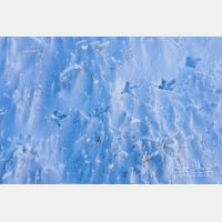 3789 x 2526_Px _RM_101231_MG_4647.jpg