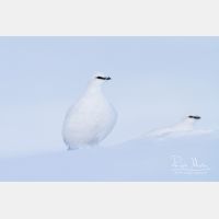 3934 x 2623_Px _RM_131228_MG_0188.jpg