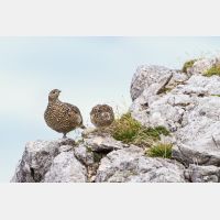 3943 x 2628_Px _RM_130812_MG_1163.jpg