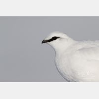 4045 x 2697_Px _RM_131228_MG_8317.jpg