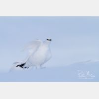 4205 x 2803_Px _RM_131228_MG_0182.jpg