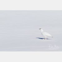 4354 x 2903_Px _RM_131228_MG_9025.jpg