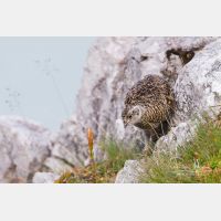 4395 x 2930_Px _RM_130812_MG_1415.jpg