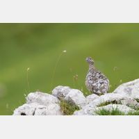 4401 x 2934_Px _RM_130811_MG_0485.jpg