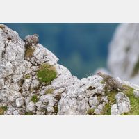 4457 x 2972_Px _RM_130812_MG_1043.jpg