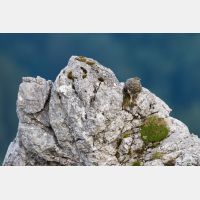 4470 x 2980_Px _RM_130812_MG_1038.jpg