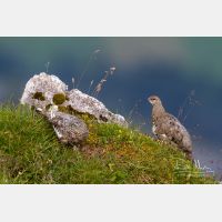 4614 x 3076_Px _RM_130812_MG_1088.jpg