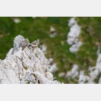 4636 x 3091_Px _RM_130812_MG_1025.jpg