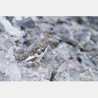 4639 x 3093_Px _RM_130812_MG_0907.jpg