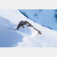 4649 x 3099_Px _RM_131228_MG_8327.jpg