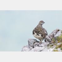 4664 x 3109_Px _RM_130812_MG_1170.jpg