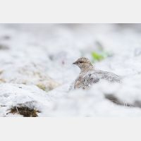 4675 x 3117_Px _RM_130811_MG_0307.jpg