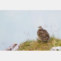 4700 x 3133_Px _RM_130812_MG_1327.jpg